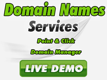 Economical domain name services